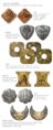 Thumbnail for version as of 09:08, 12 December 2022