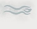 Thumbnail for version as of 23:03, 23 June 2024